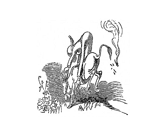 Vetter Franz auf dem Esel