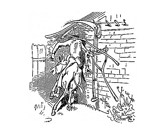 Vetter Franz auf dem Esel