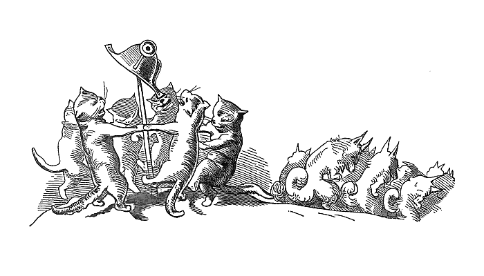 Tiere hissen einen Helm
